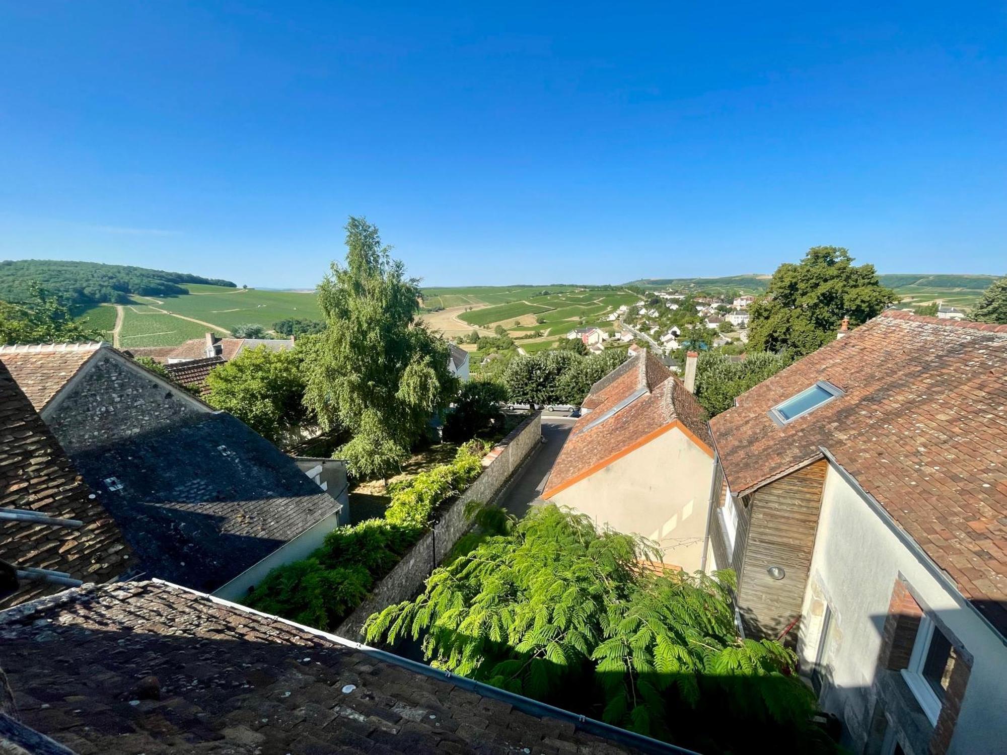 Appartement Cosy Vue Sur Le Vignoble Sancerre Ngoại thất bức ảnh