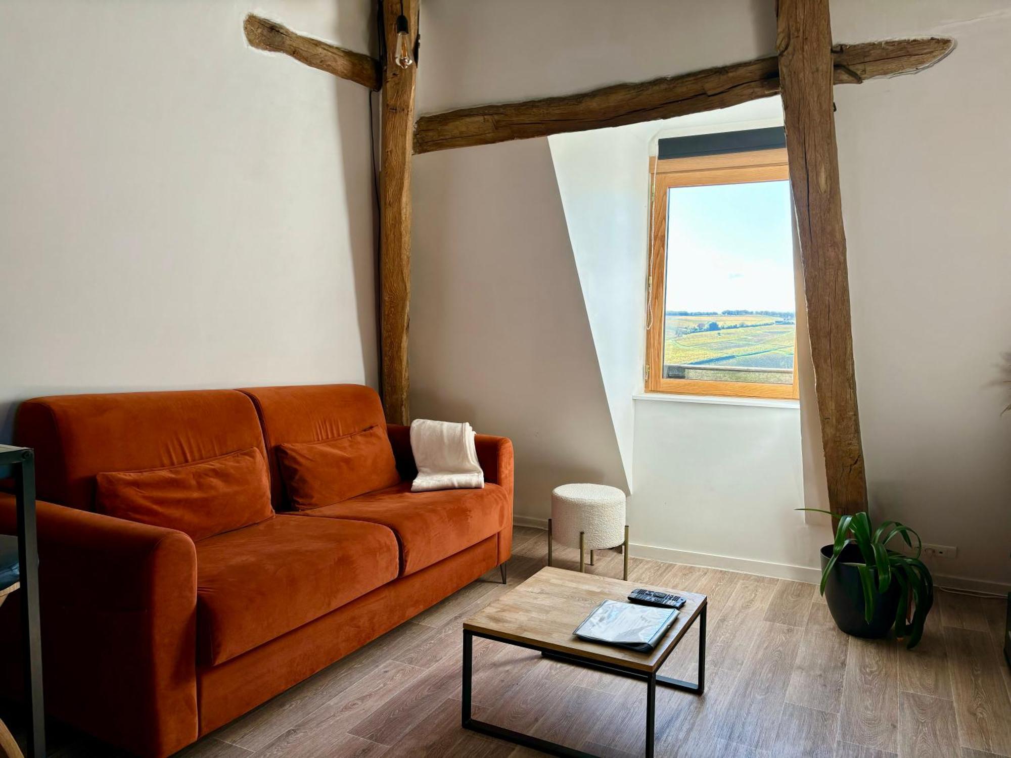 Appartement Cosy Vue Sur Le Vignoble Sancerre Ngoại thất bức ảnh